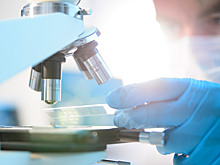 Ученые нашли принципиально новый антибиотик