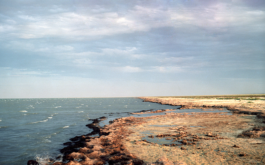 Побережье Аральского моря, 1989 год