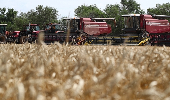 Волгоградские аграрии превзошли результаты по уборке зерновых 2024 года