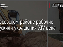 В Волосовском районе рабочие обнаружили украшения XIV века