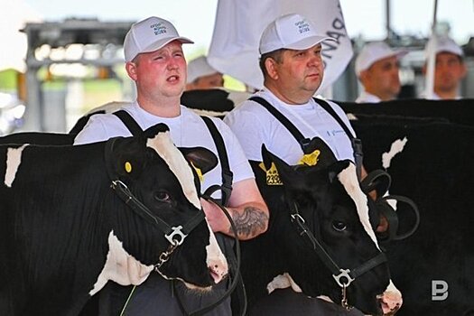 Татарстан получит более 300 млн рублей из федерального бюджета на модернизацию АПК