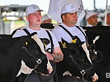 Татарстан получит более 300 млн рублей из федерального бюджета на модернизацию АПК