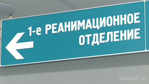 Медики спасли руку питерского мальчика, сунувшего ее в мясорубку