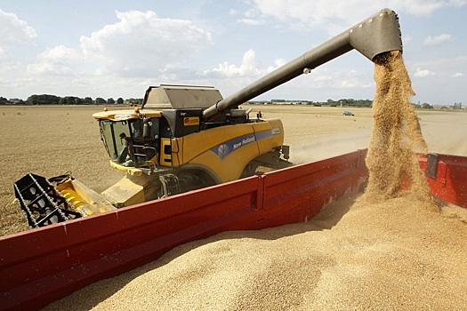 Россия планирует начать поставки зерна в КНДР