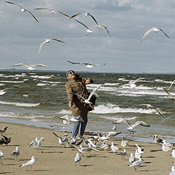 В Тернополе возле озера живодеры отравили птиц