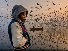 26 лучших фото с конкурса National Geographic 2019 Travel Photo Contest