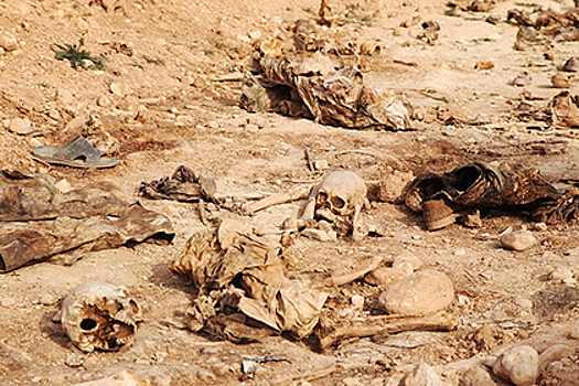 В Ираке нашли сотни могил с останками тысяч людей