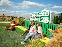 В Волгоградской области продолжается работа Всероссийского Дня поля-2025