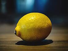 Россияне вырастили гигантский лимон в квартире