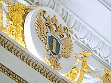 Останки почти 250 красноармейцев обнаружили поисковики в Ельнинском районе под Смоленском