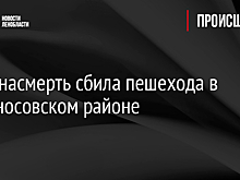 Фура насмерть сбила пешехода в Ломоносовском районе