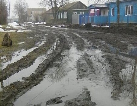 Брянск: отремонтированные в 2016 году дороги почти не повреждены