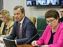 В Совфеде подняли проблему покупки аварийного жилья на маткапитал