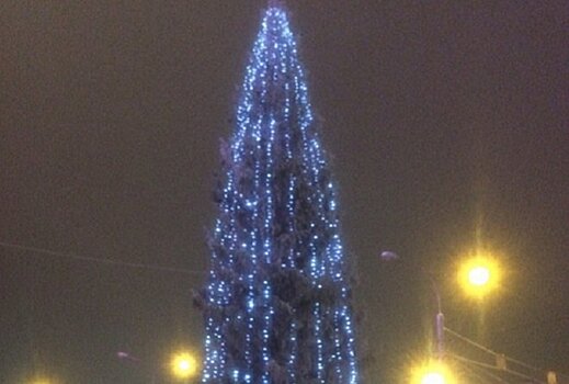 Нижегородцы раскритиковали новогоднюю елку на площади Лядова