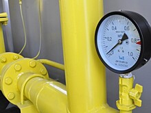 Глава региона Дмитрий Миронов поручил проработать вопрос включения в программу газификации ряда деревень Даниловского района