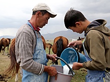 Состав блюд для лечебного питания предложили изменить