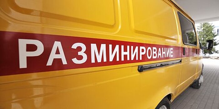 Взрывотехники обезвредили мину в Подмосковье