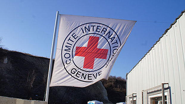 Красный крест направил в Донбасс почти 400 тонн гуманитарной помощи