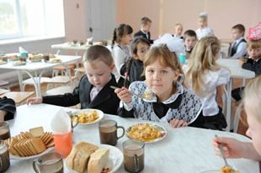 Аппетит не приходит. Почему хромает качество питания в школах и детсадах?