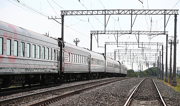 В Волгоградской области пастух погиб после столкновения с поездом