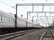 В Волгоградской области пастух погиб после столкновения с поездом