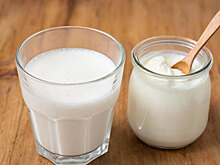 Учёные сравнили йогурт и кефир и вот к какому выводу пришли