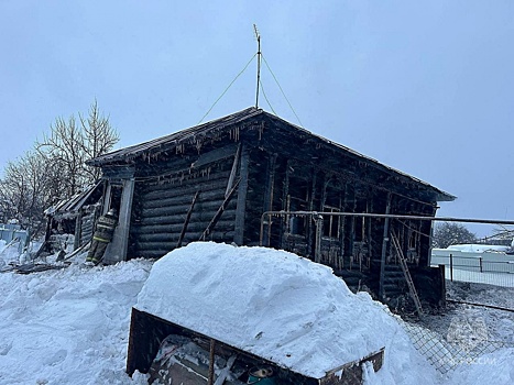 Три трупа нашли в сгоревшем доме в Нижегородской области