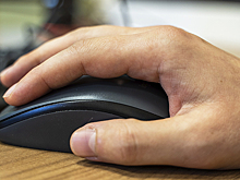 Глав муниципальных образований Удмуртии обучили экспорту в рамках Года села