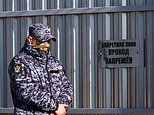 ТАСС: пытавшийся заехать в ИК с оружием водитель мог перевозить его на продажу