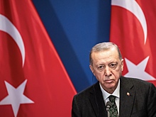 Эрдоган рассчитывает на переговоры с Путиным по зерновому коридору