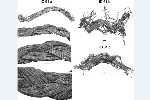 В Испании найдены старейшие веревки, сделанные человеком