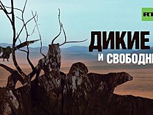 Фильм RTД впервые выйдет в широкий прокат