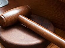 РАД прирастает госзаказом
