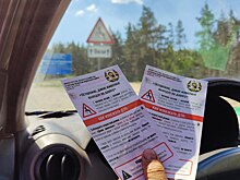 Нижегородский Минлесхоз предупредил водителей о рисках в период гона у лосей