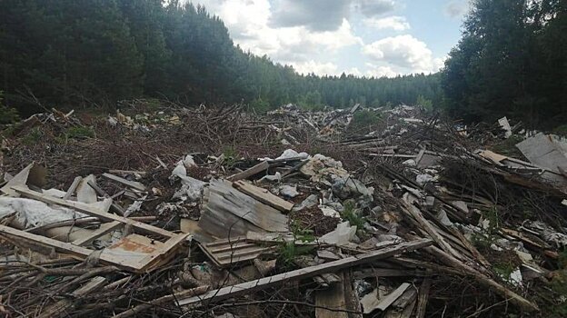 В Никольском районе разобрались со свалкой в 2 футбольных поля