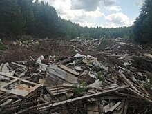 В Никольском районе разобрались со свалкой в 2 футбольных поля