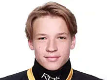 В экс-хоккеиста системы СКА Малышева выстрелили из сигнальной ракетницы