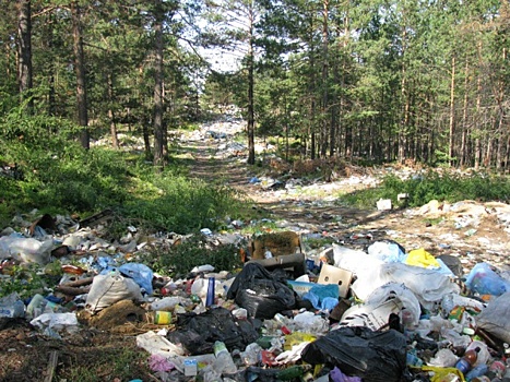 «Мы увидели передел рынка». Что тормозит мусоропереработку в России?
