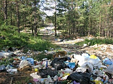 «Мы увидели передел рынка». Что тормозит мусоропереработку в России?