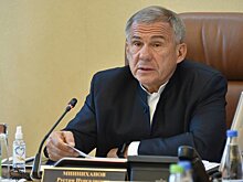 Минниханов поручил установить виновных в осквернении могилы в Актанышском районе Татарстана