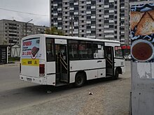 Ирина Мирошник проехалась на петрозаводских автобусах и осталась недовольна увиденным
