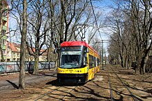 В администрации Калининграда прокомментировали идею о выделенных трамвайных линиях
