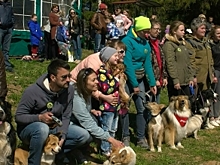 "Пастушьи забавы": под Костромой сегодня отметили Егорьев день