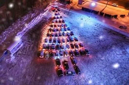 Оренбургские автомобилисты выстроили новогоднюю елку из машин