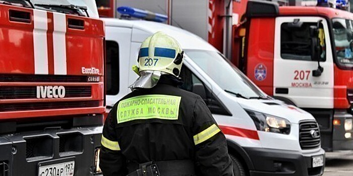 Спасатели помогли мужчине, который заблудился в Бутовском лесу