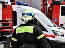 Спасатели помогли мужчине, который заблудился в Бутовском лесу