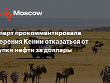 Эксперт прокомментировала намерения Кении отказаться от покупки нефти за доллары
