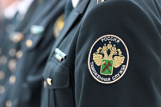 Посылку с гигантскими жуками из Перу развернули на московской таможне