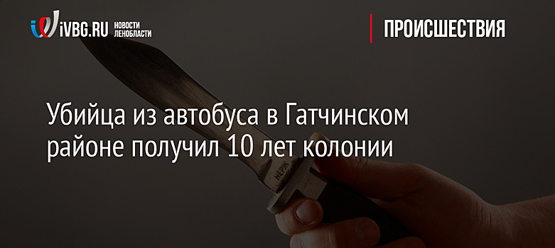 Убийца из автобуса в Гатчинском районе получил 10 лет колонии