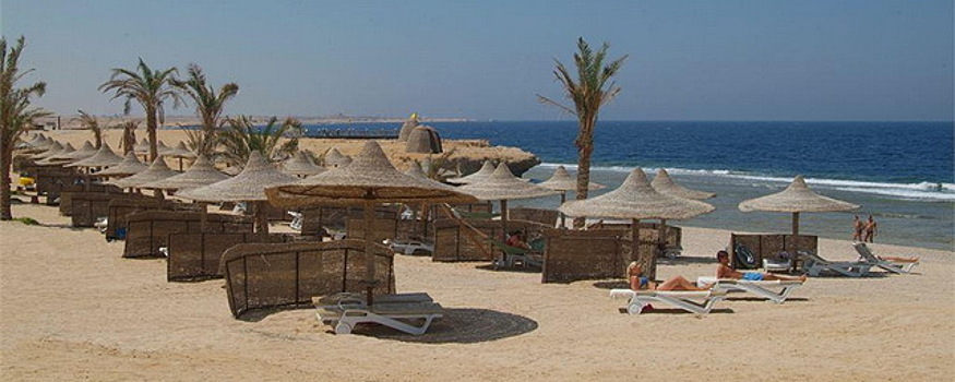 Туристам отказались возвращать деньги за путевки в Хургаду после нападения акулы